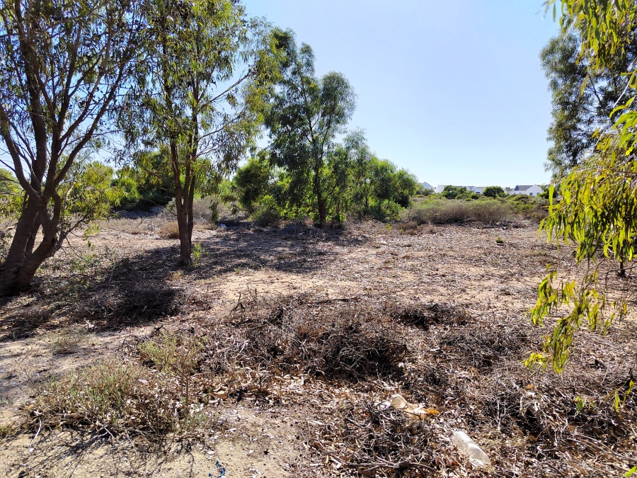 0 Bedroom Property for Sale in Brittania Beach Estate Western Cape